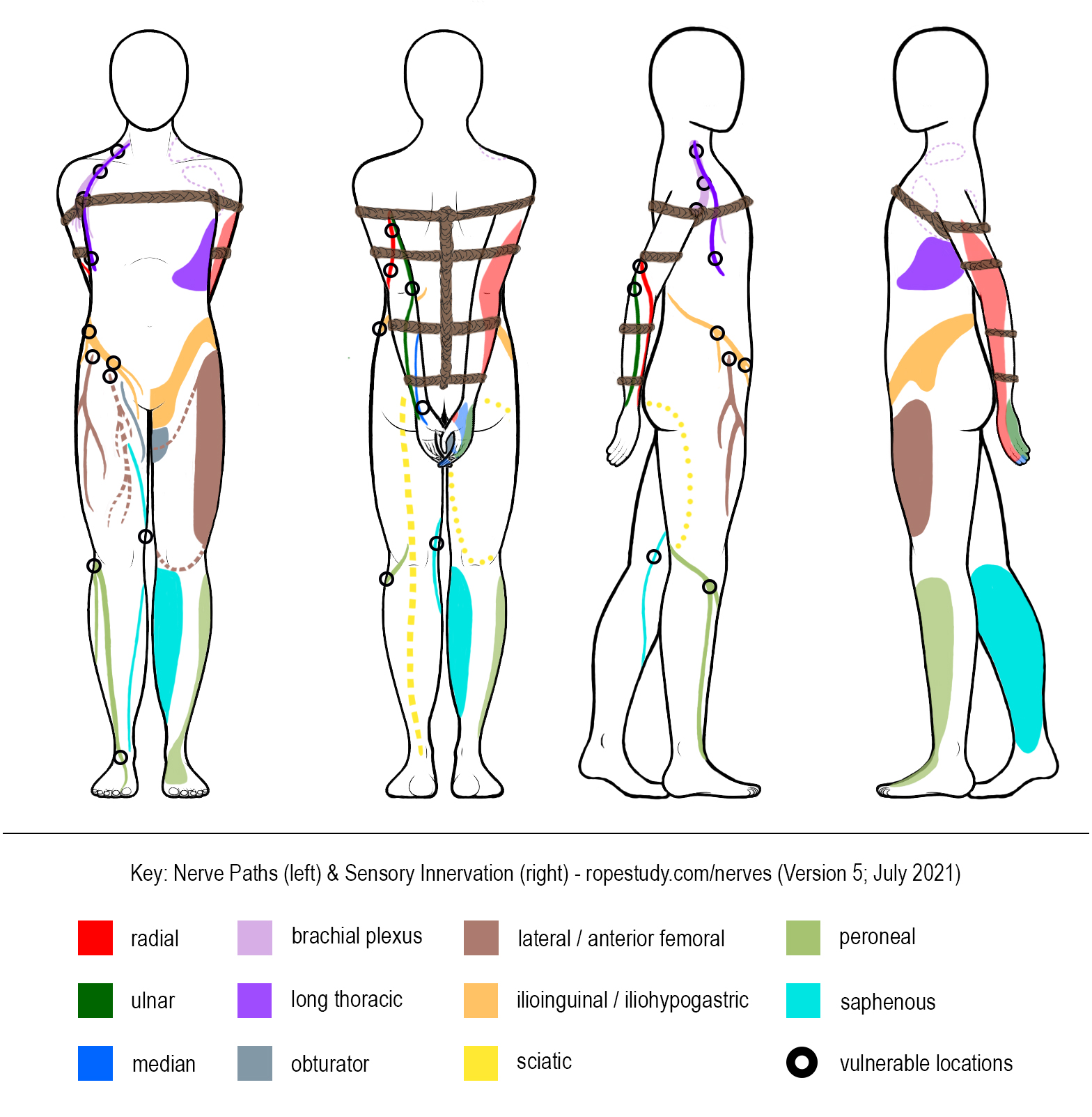 Nerves Armbinder