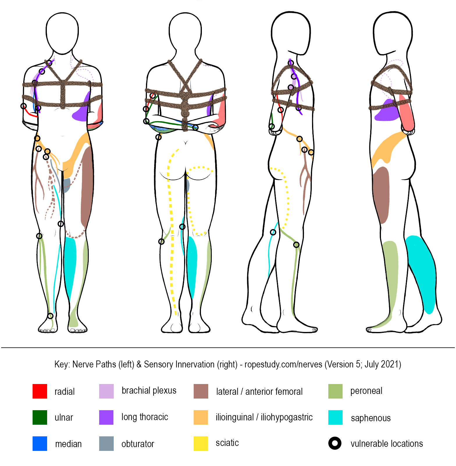 Nerves Box Tie